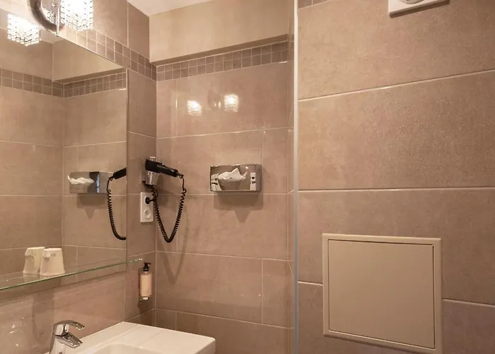 Hotel France Albion 2*